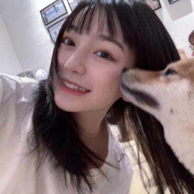 龙珠召唤游戏下载